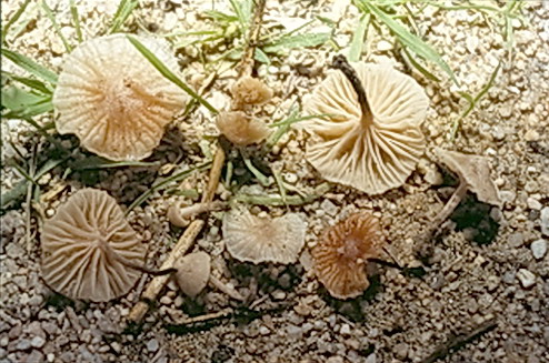 meraviglie mediterranee